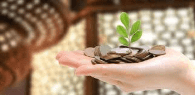 Zakat: The Islamic Pillar of Charity